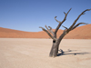 sossusvlei namibia